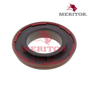 RETEN DE CORONA MERITOR